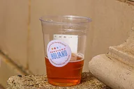 Holland Brew Pub Tour thumbnail 4