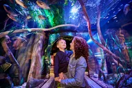 New Jersey SEA LIFE Aquarium Admission thumbnail 3