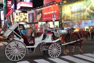 New York City Central Park Horse Carriage Tour thumbnail 5