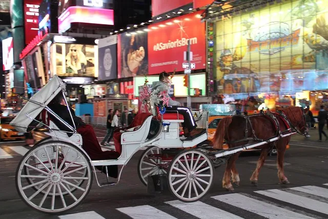 New York City Central Park Horse Carriage Tour - Image 5