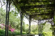 New York City Central Park Walking Tour thumbnail 5