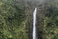 Hilo Shore Excursion: Hamakua Coast Tour thumbnail 6