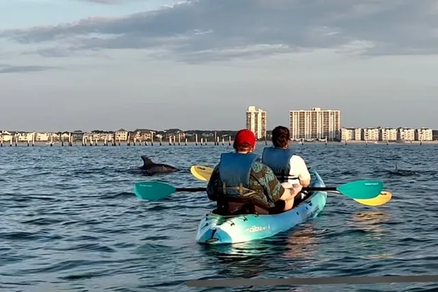 Virginia Beach Kayak Dolphin Experience - Image 2