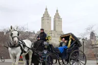 New York City Horse-Drawn Carriage Ride thumbnail 5