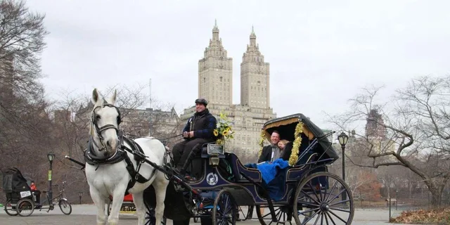 New York City Horse-Drawn Carriage Ride - Image 5