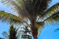 Miami Golf Cart Tour thumbnail 2