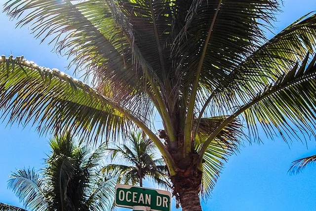Miami Golf Cart Tour - Image 2