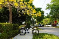 Sarasota E-Bike Rental thumbnail 2