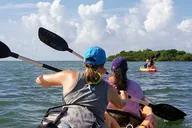 Islamorada Eco Tour: Snorkel, Kayak, and Lunch thumbnail 4
