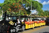 Miami Explorer Pass thumbnail 6