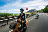 Honolulu Moped Rental for the Day thumbnail 2