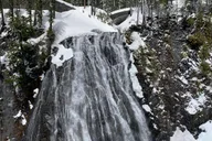 Seattle Mt. Rainier National Park Guided Tour thumbnail 6