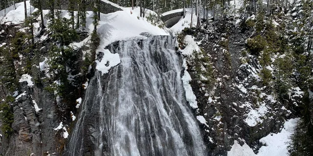 Seattle Mt. Rainier National Park Guided Tour - Image 6
