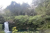 Hana Private Road Tour thumbnail 4