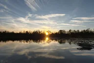 Orlando Sunset Guided Kayak Tour thumbnail 1