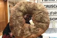 Boston Food Tour with Local Guide 3.5 hr thumbnail 5