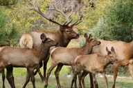 Estes Park Rocky Mountain National Park Photography Tour thumbnail 2