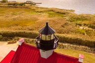 Cape May Whale and Dolphin Watching Cruise thumbnail 5