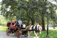 New York City Central Park Horse Carriage Ride 55 min thumbnail 3