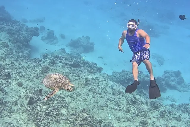 Waikiki Snorkeling Cruise - Image 3