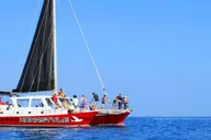 Kailua-Kona Kealakekua Bay Snorkel and Sail 4 hr thumbnail 2