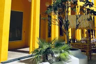 Miami Neighborhoods Walking Tour in French 3.5 hr thumbnail 4