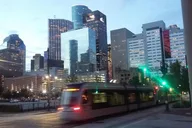 Houston City Van Tour 2.5 Hours thumbnail 1