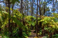 Volcanoes National Park Guided Hike thumbnail 6
