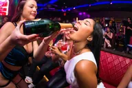 Miami Bar Crawl with Drinks Discounts and Club Entry thumbnail 1
