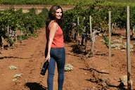 Napa-Sonoma Wine Tour Experience 8 hr thumbnail 2