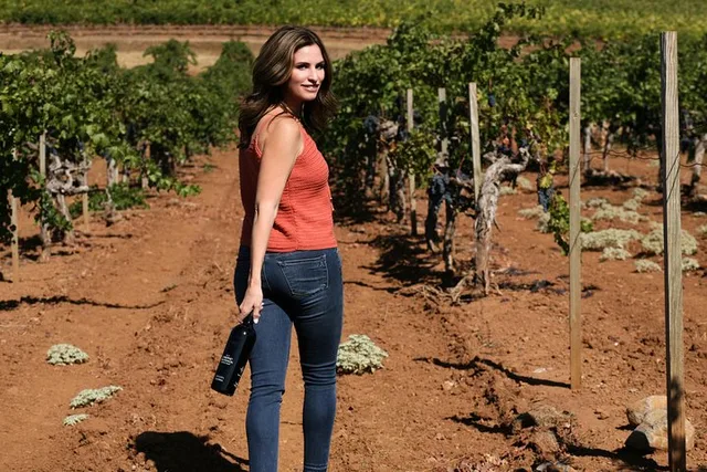Napa-Sonoma Wine Tour Experience 8 hr - Image 2