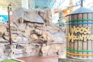 Bloomington Mini Golf Adventure at Moose Mountain 1 hr thumbnail 4