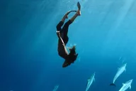 Kaanapali Beach Snorkel Tour 3 Hr thumbnail 3
