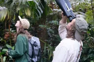 Kailua-Kona Birding Tour in Cloud Forest 2 hr thumbnail 3