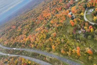 New York City Fall Foliage Helicopter Tour thumbnail 1
