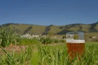 The Gorge Ebike Tasting Tour 4 hr thumbnail 5