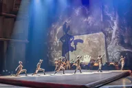 Orlando Cirque du Soleil Show Ticket thumbnail 4