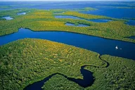 Miami Everglades Airboat Tour thumbnail 3