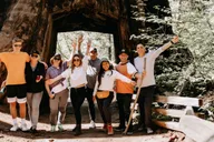 San Jose Yosemite National Park and Giant Sequoias Trip thumbnail 2