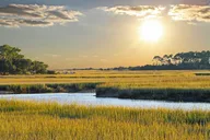 Savannah Dolphin Eco Tour thumbnail 3