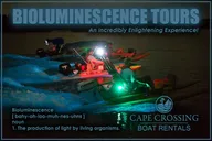 Indian River Lagoon Bioluminescence Craigcat Tour 2 hr thumbnail 5