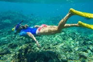 Florida Keys Kayak and Snorkel Adventure thumbnail 6