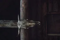 Miami Escape Game: Odin's Hidden Temple thumbnail 1