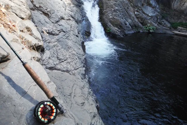 Yosemite Fly Fishing Tour for Anglers - Image 6