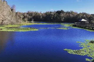 Farm to Table Tour in Ocala 2 Days