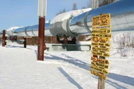 Fairbanks Winter City Tour and Dog Sledding thumbnail 1