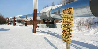 Fairbanks Winter City Tour and Dog Sledding