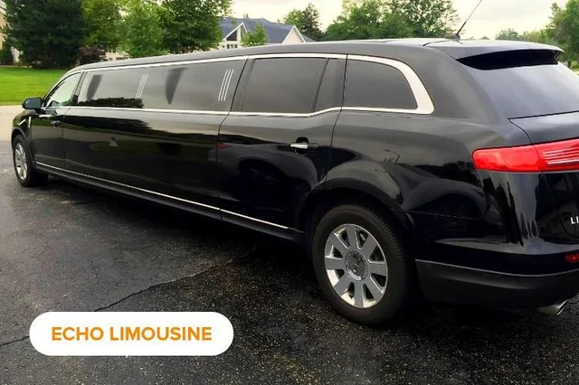 Chicago Private Sightseeing Limousine Transfer 4 Hr - Image 2