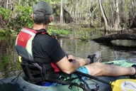 Seminole Forest Kayak Adventure on Blackwater Creek thumbnail 6
