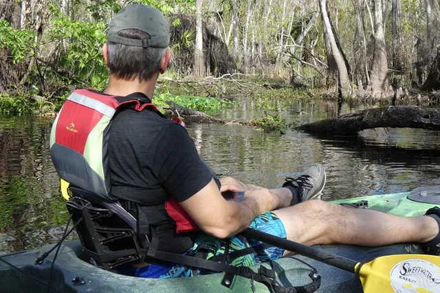 Seminole Forest Kayak Adventure on Blackwater Creek - Image 6